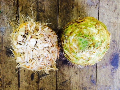 Celeriac