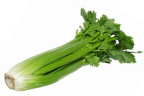 Celery (Non-Cornish)