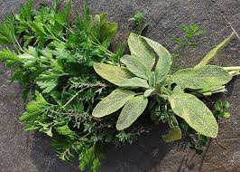 Herbs, mixed seasonal bunch