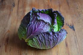 January King Cabbage