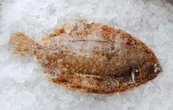 Lemon Sole - Whole Fish