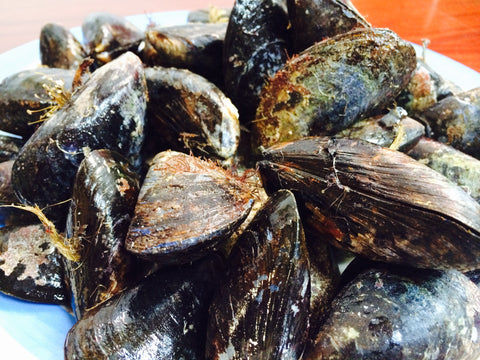 Cornish Mussels 1kg