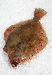 Whole Fresh Plaice