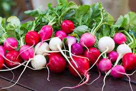 Radish Bunch (Non-Cornish)