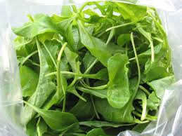 Fresh Rocket, 50g