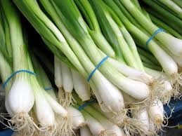 Salad Onions