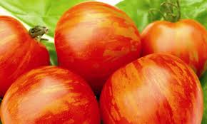 Tomatoes - Tigerellas 500g